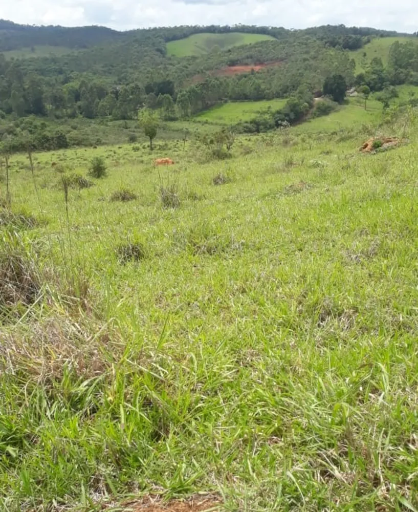Fazenda, 418 hectares - Foto 2