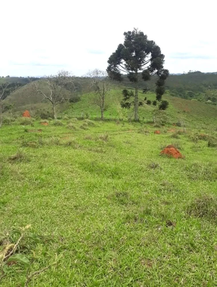 Fazenda, 418 hectares - Foto 4