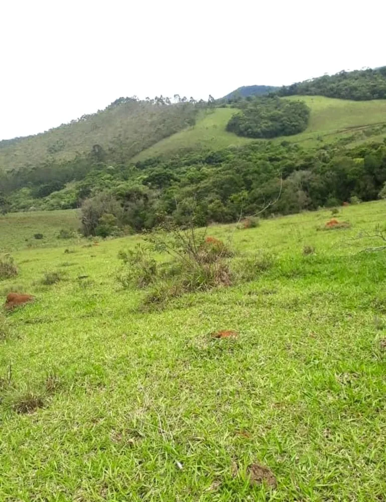 Fazenda, 418 hectares - Foto 6