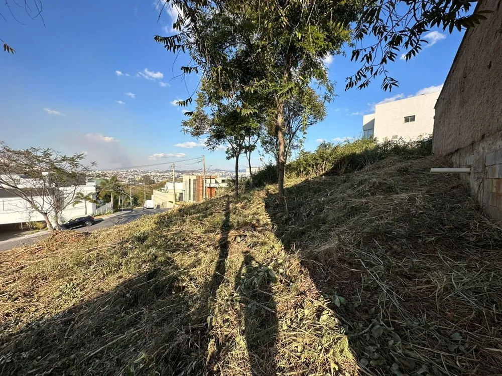 Terreno, 479 m² - Foto 6