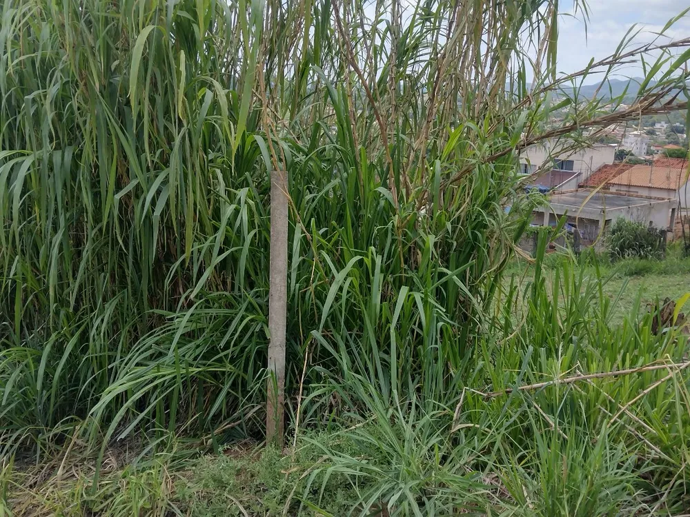 Terreno, 360 m² - Foto 10