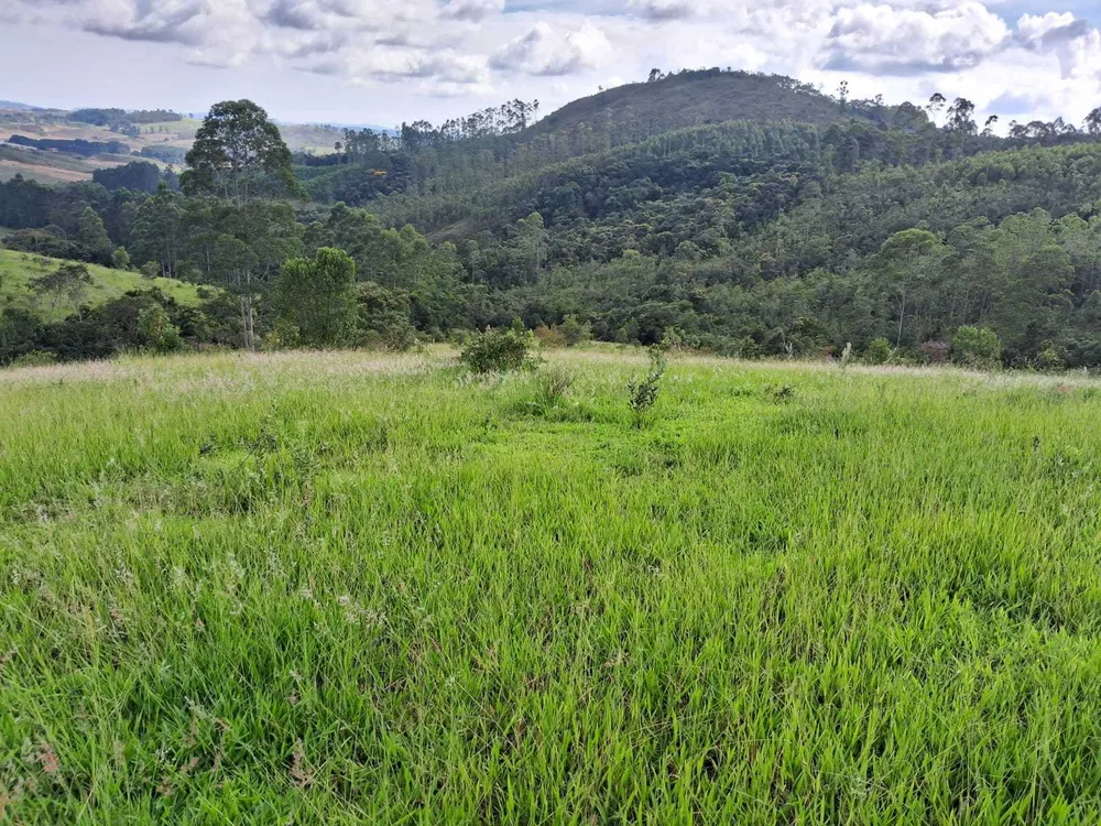 Fazenda, 179 hectares - Foto 7