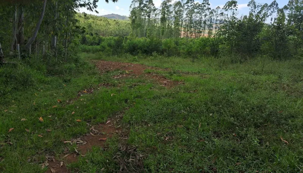Fazenda, 179 hectares - Foto 10