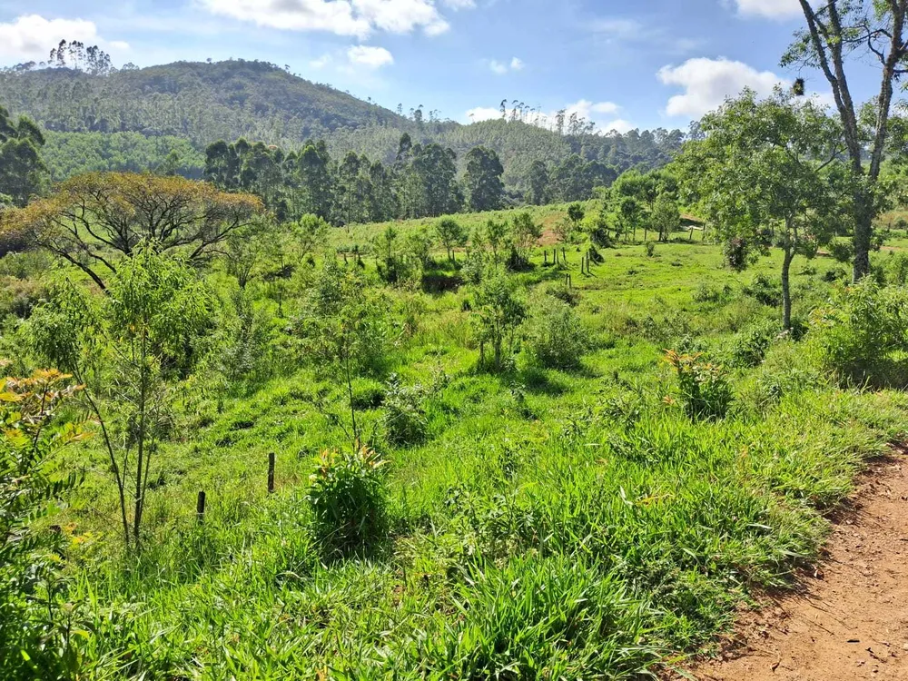 Fazenda, 179 hectares - Foto 10