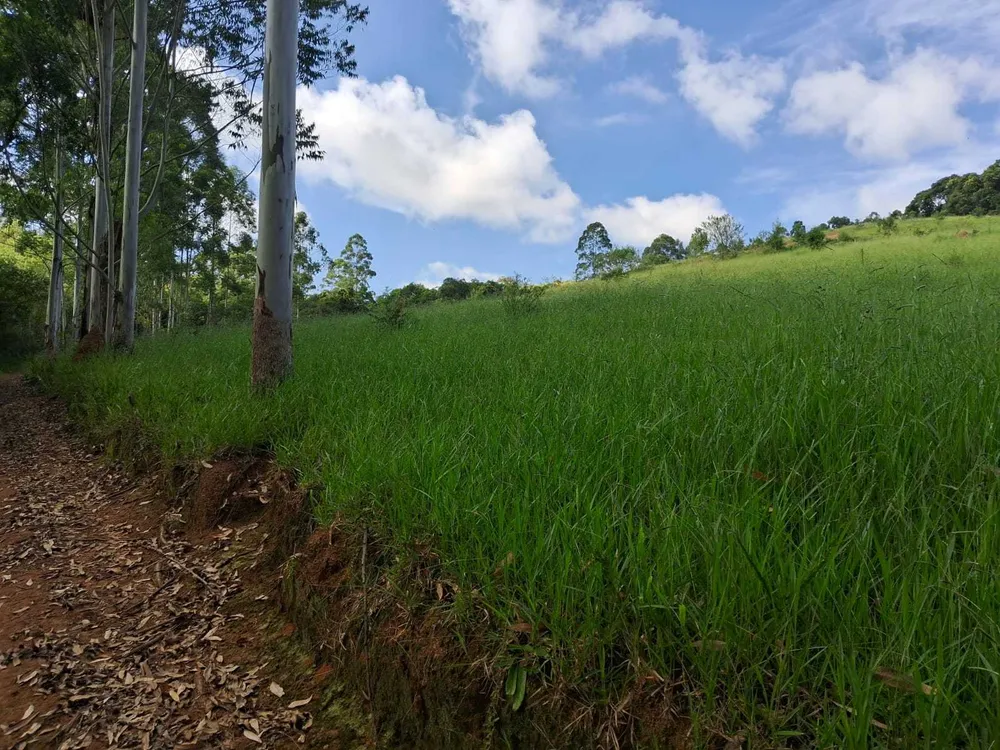 Fazenda, 179 hectares - Foto 6