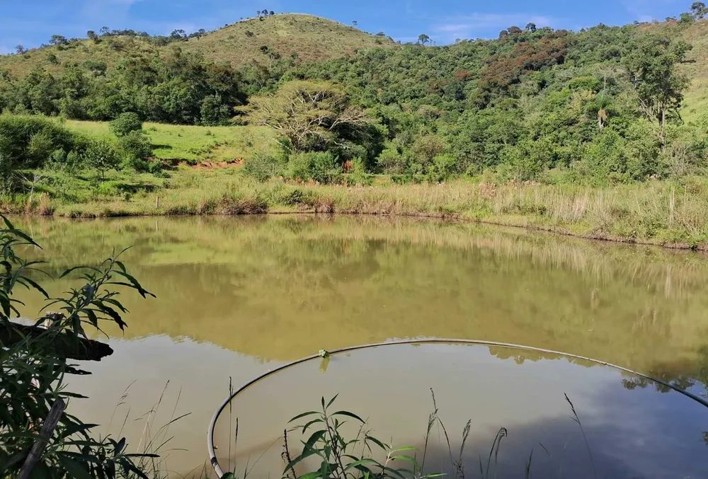 Fazenda, 179 hectares - Foto 9
