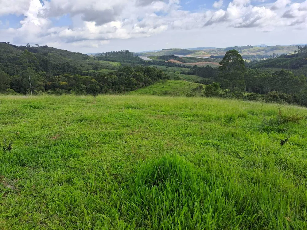 Fazenda, 179 hectares - Foto 11