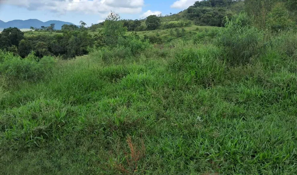 Fazenda, 179 hectares - Foto 4