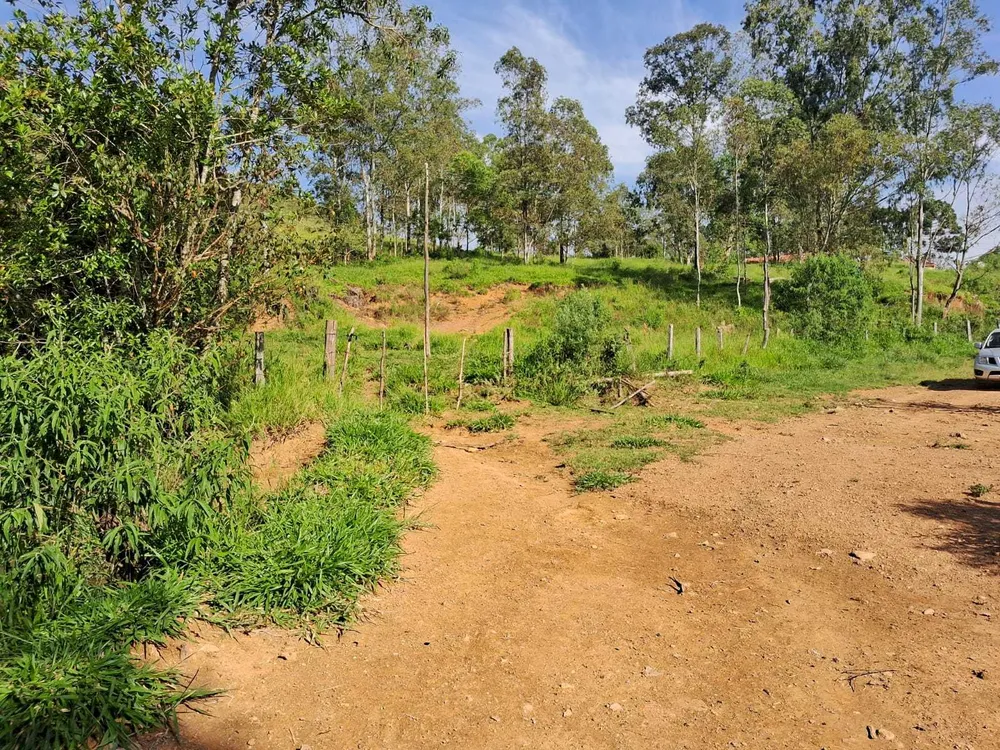 Fazenda, 179 hectares - Foto 15
