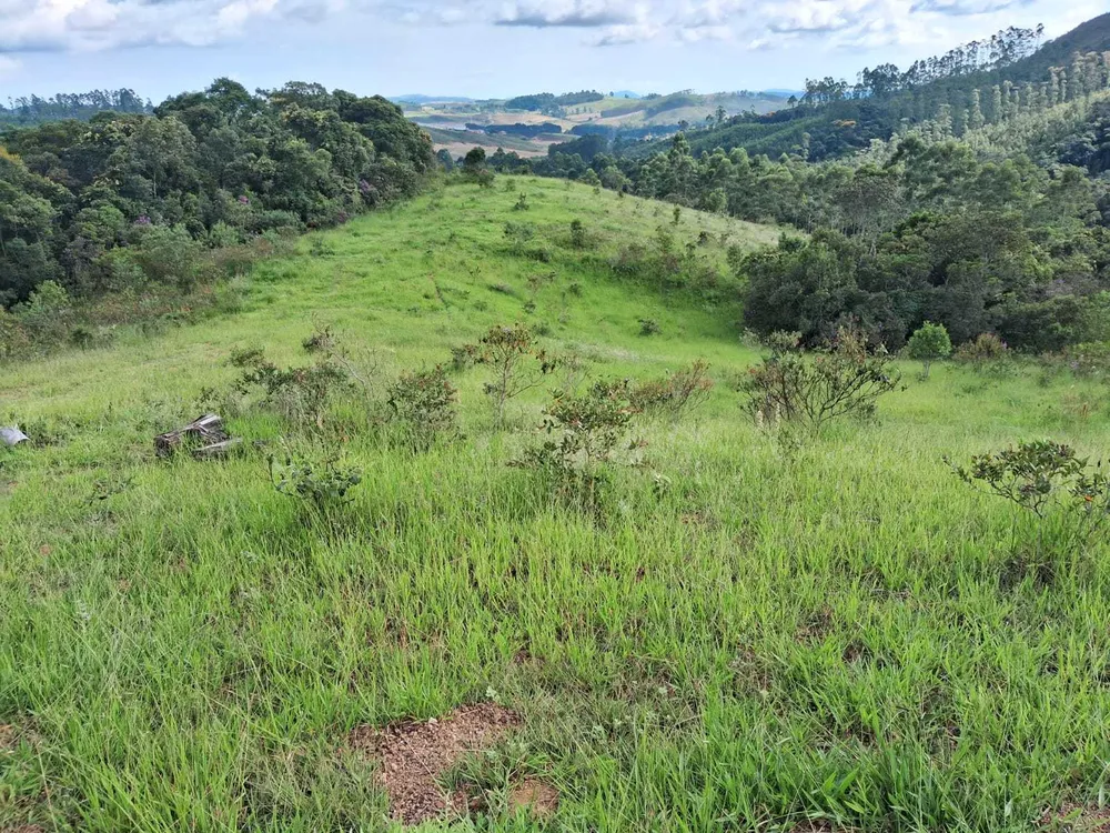 Fazenda, 179 hectares - Foto 2