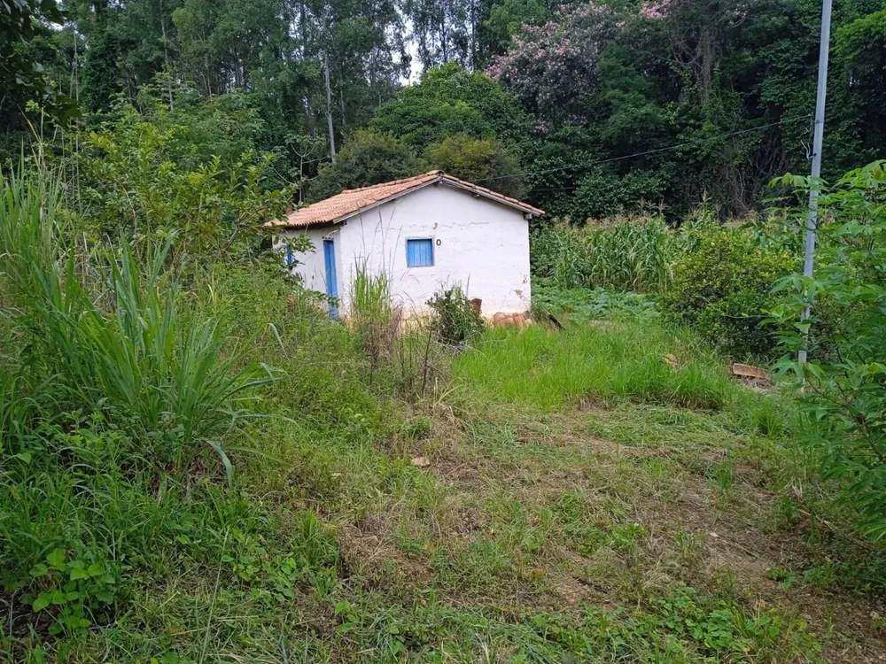 Sítio, 1 quarto, 22000 m² - Foto 3