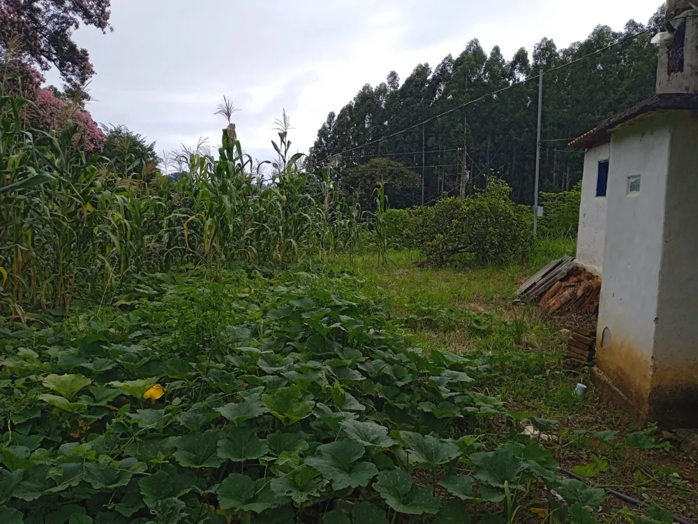 Sítio, 1 quarto, 22000 m² - Foto 1