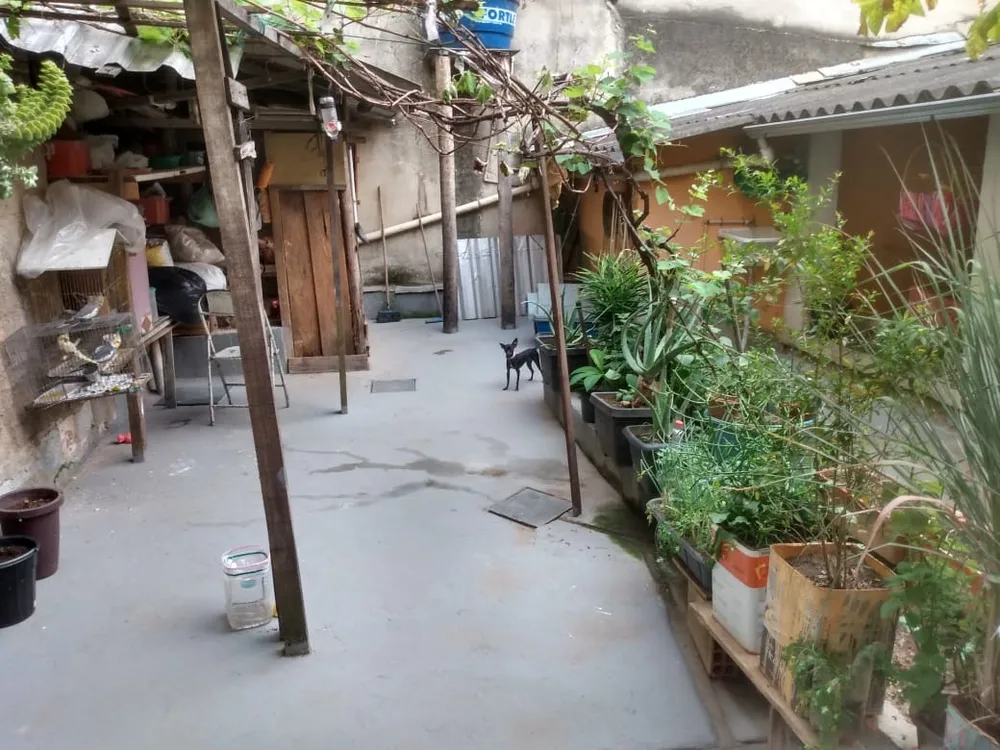 Casa, 5 quartos, 328 m² - Foto 11