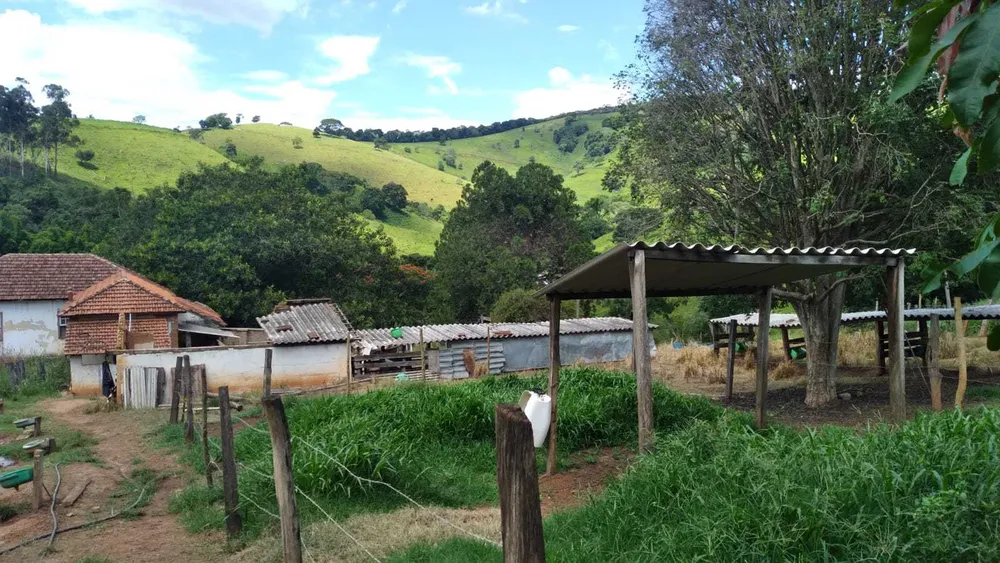 Fazenda, 301 hectares - Foto 6