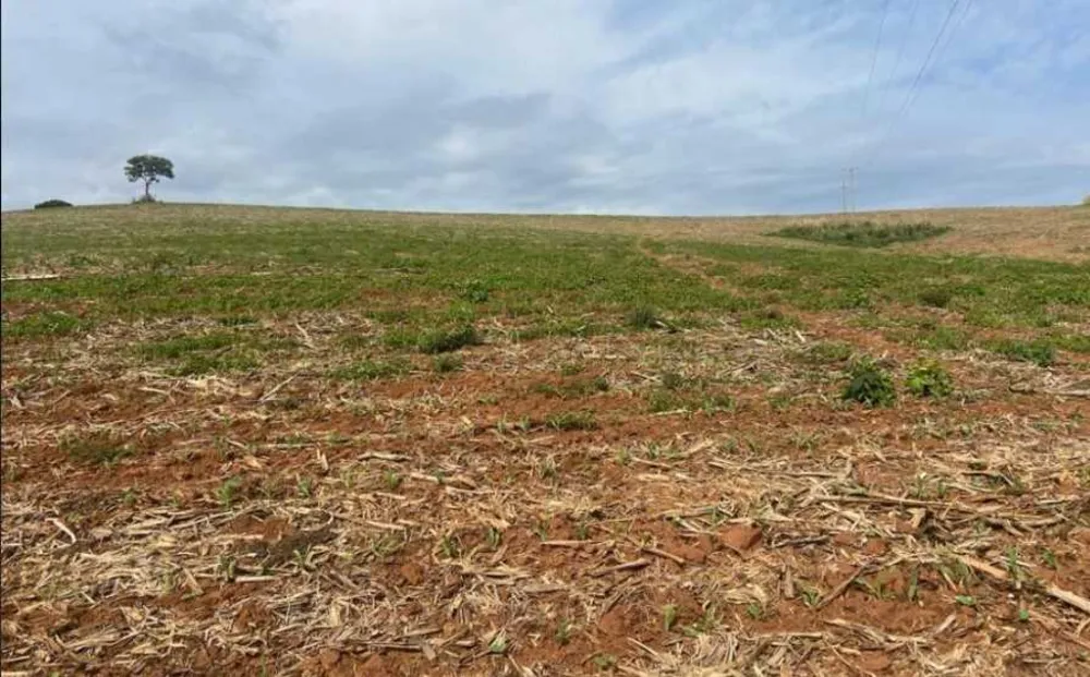 Fazenda, 301 hectares - Foto 12