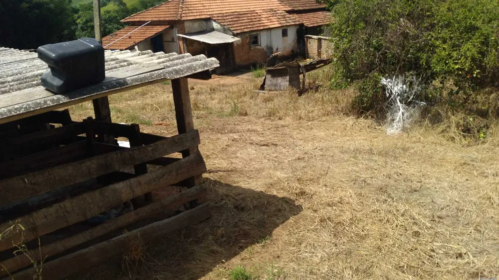 Fazenda, 301 hectares - Foto 8