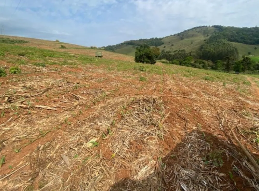 Fazenda, 301 hectares - Foto 11