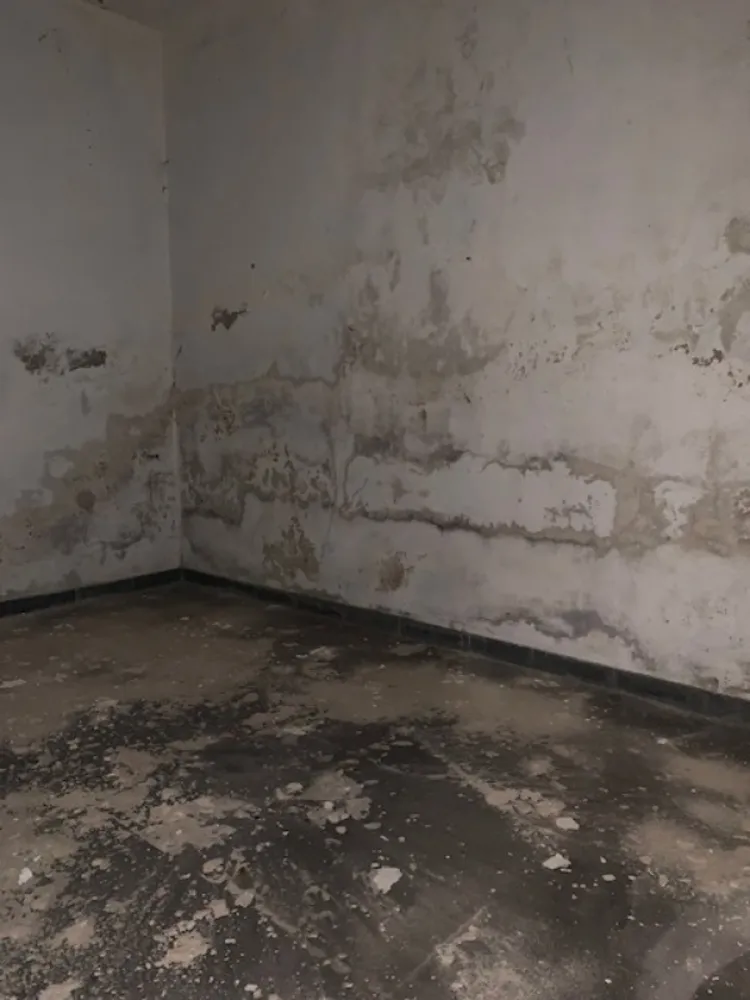 Loja-Salão, 160 m² - Foto 5