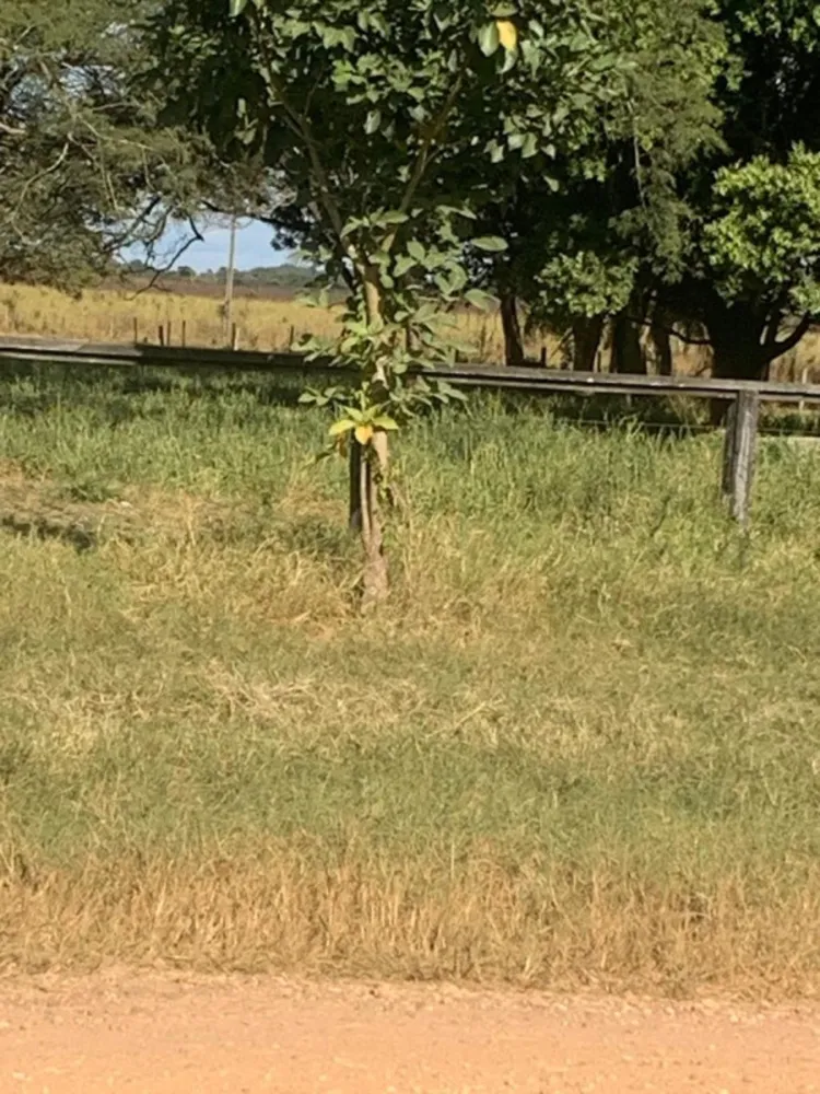 Fazenda, 1 quarto - Foto 1
