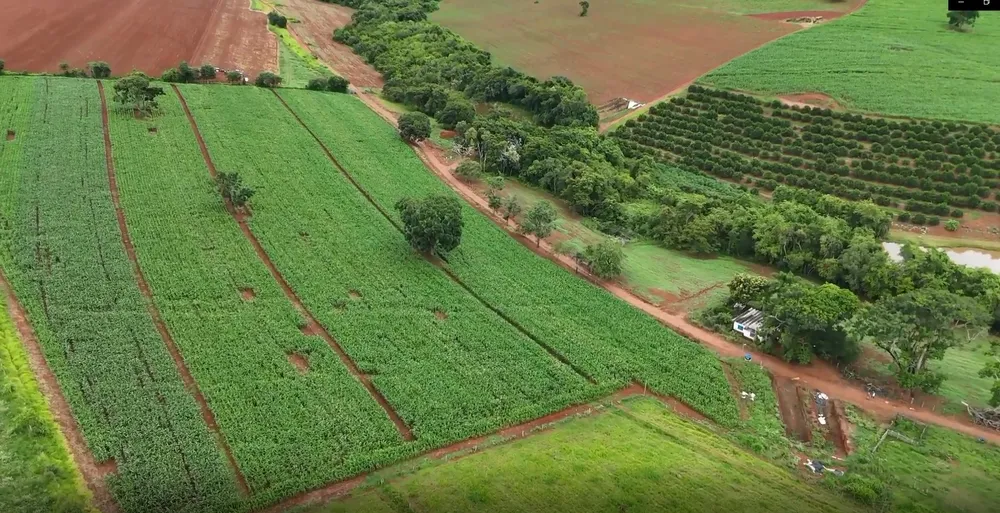 Fazenda, 74 hectares - Foto 4