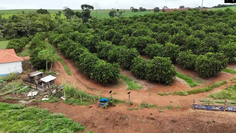Fazenda, 74 hectares - Foto 11