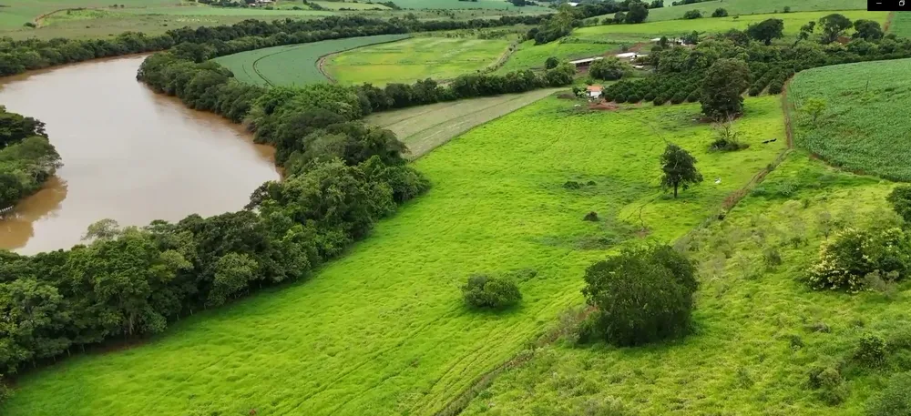 Fazenda, 74 hectares - Foto 10
