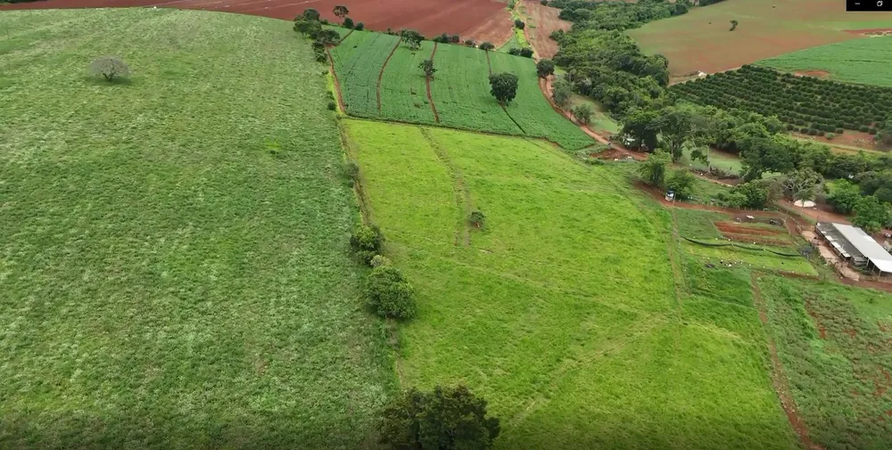 Fazenda, 74 hectares - Foto 3