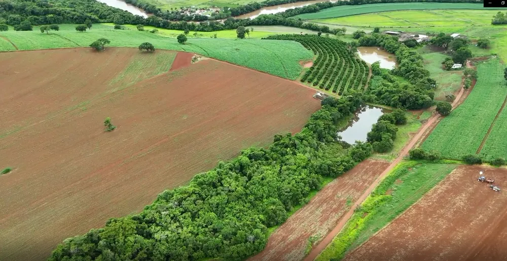 Fazenda, 74 hectares - Foto 7