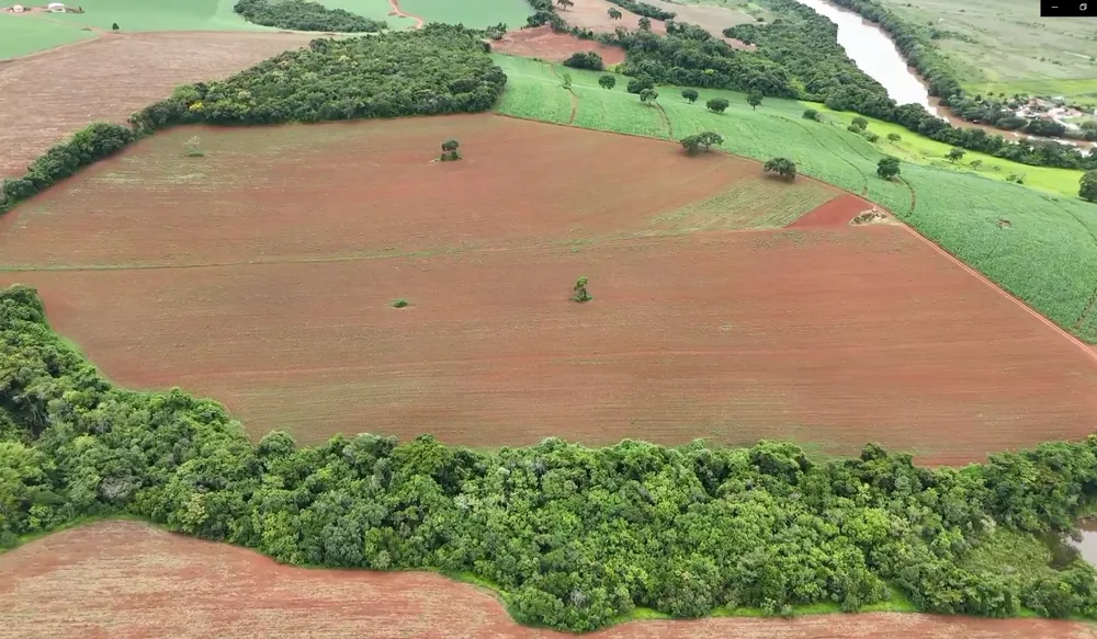 Fazenda, 74 hectares - Foto 9