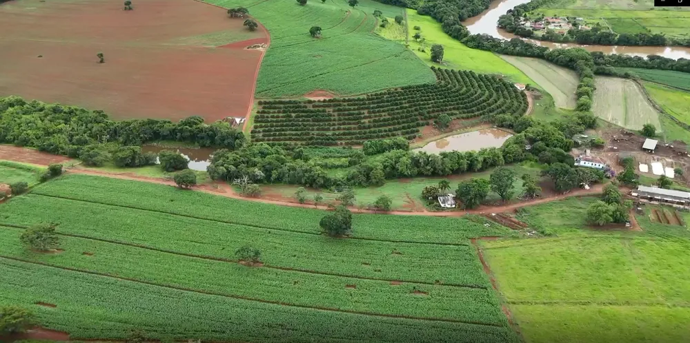 Fazenda, 74 hectares - Foto 6