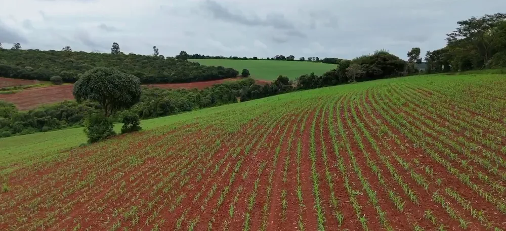 Fazenda, 74 hectares - Foto 6