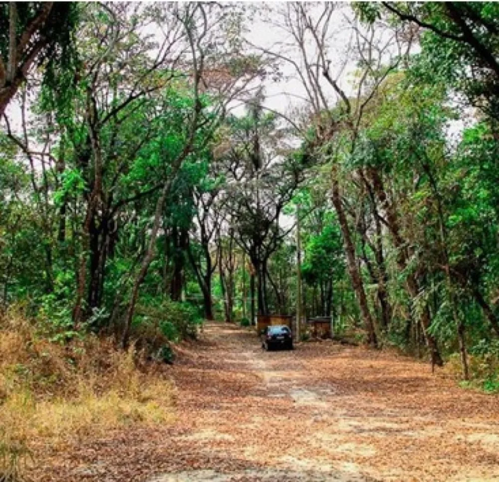 Terreno, 5000 m² - Foto 14