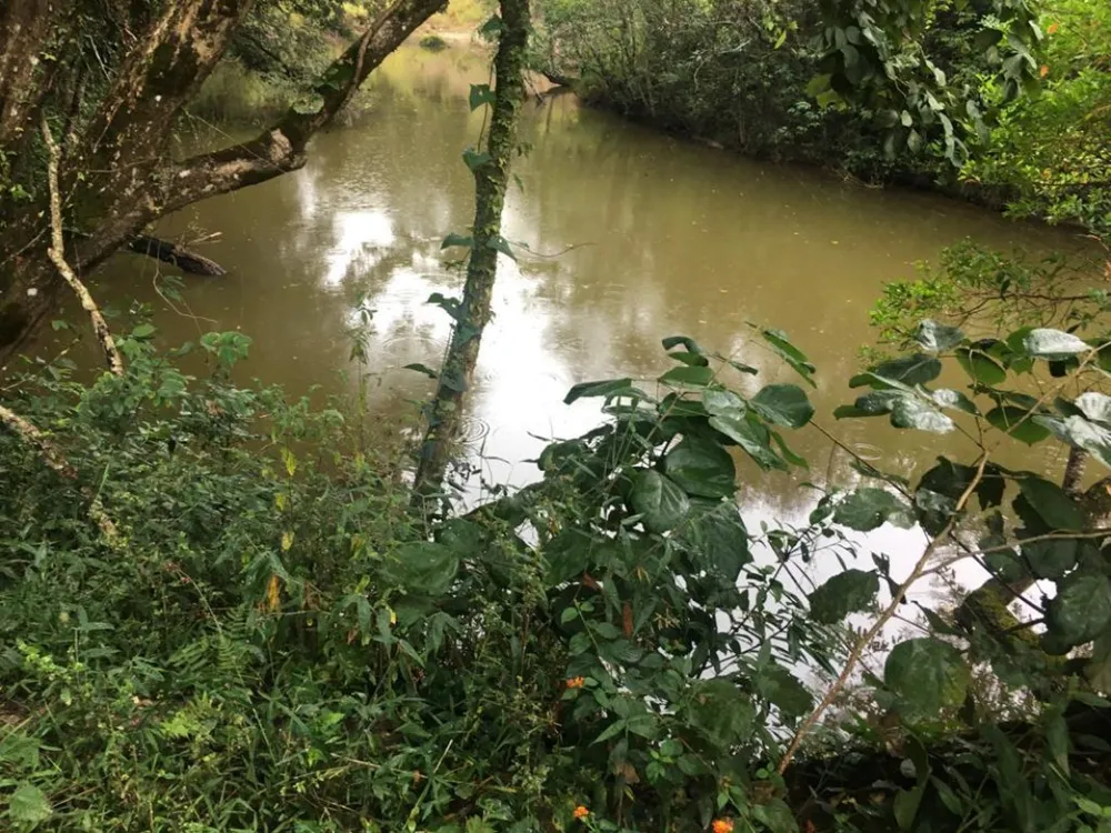 Terreno, 5000 m² - Foto 13