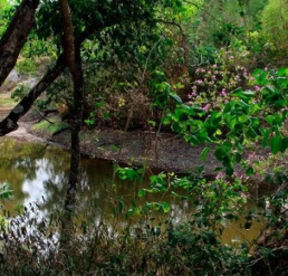 Terreno, 5000 m² - Foto 16