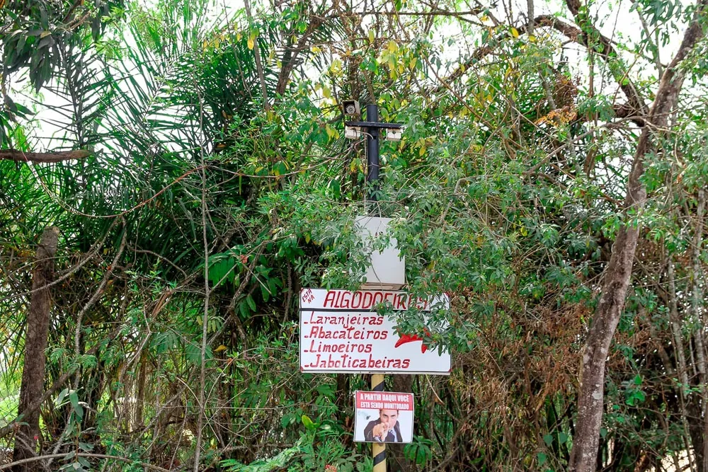 Terreno, 5000 m² - Foto 4