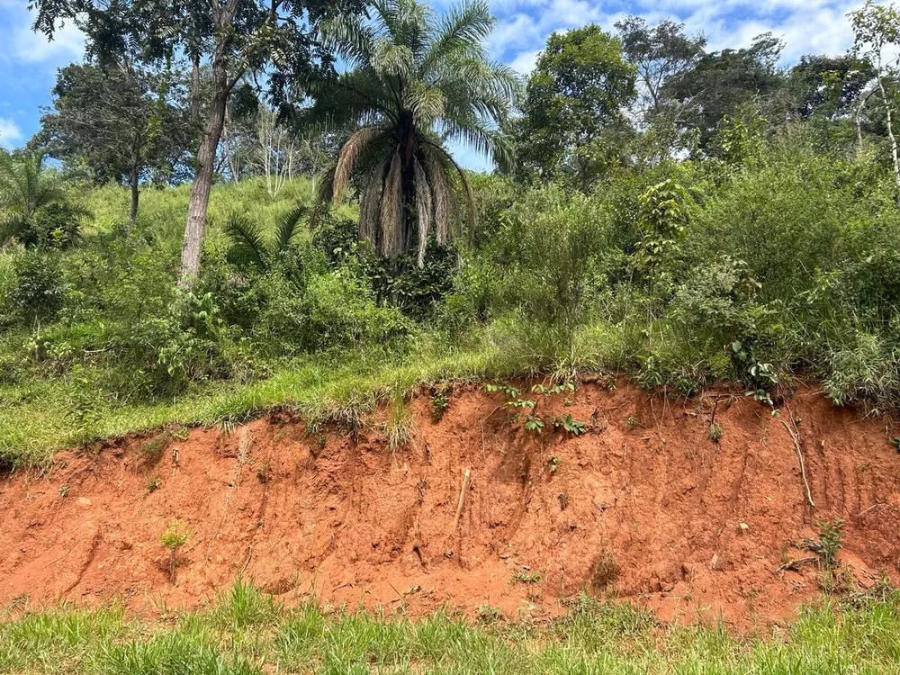 Terreno à venda, 2100m² - Foto 3