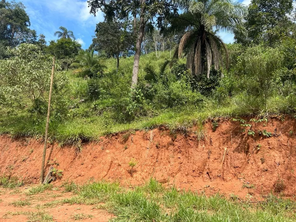 Terreno à venda, 2100m² - Foto 4