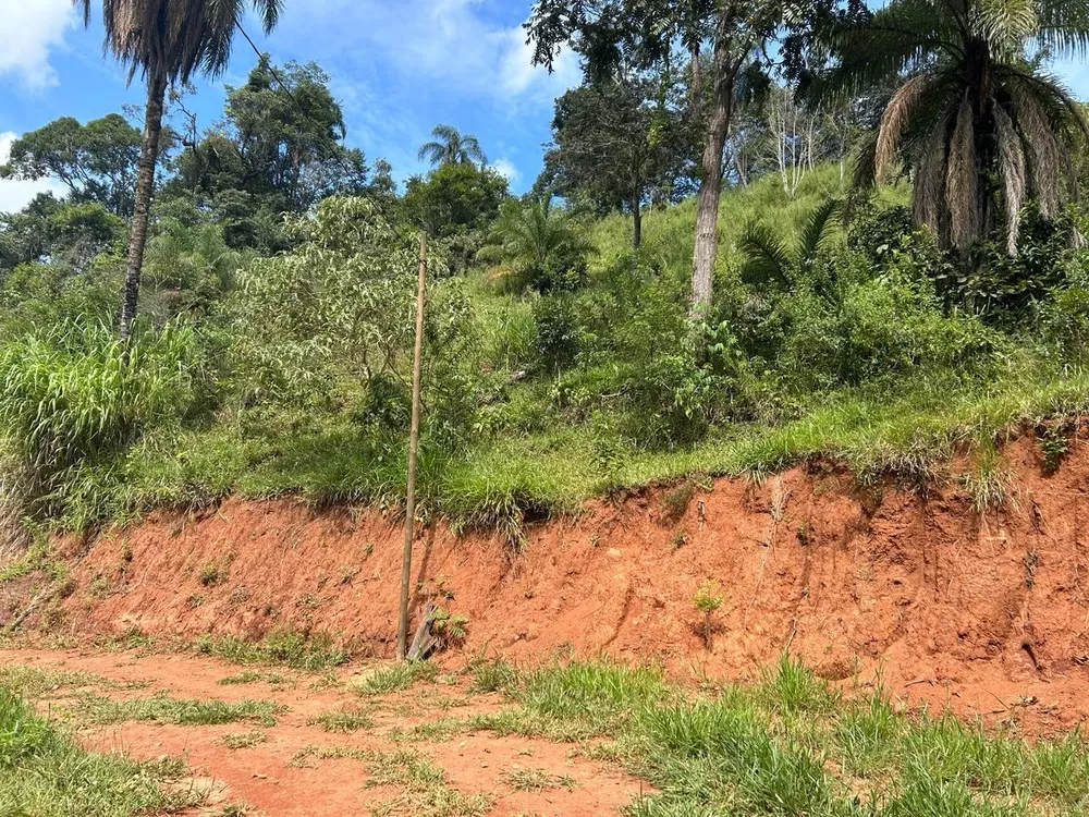 Terreno à venda, 2100m² - Foto 2