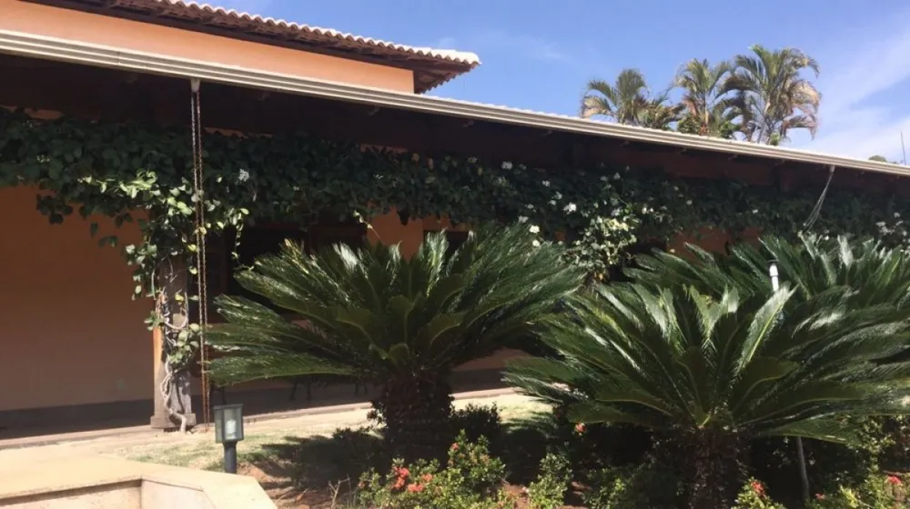 Casa, 4 quartos, 600 m² - Foto 9