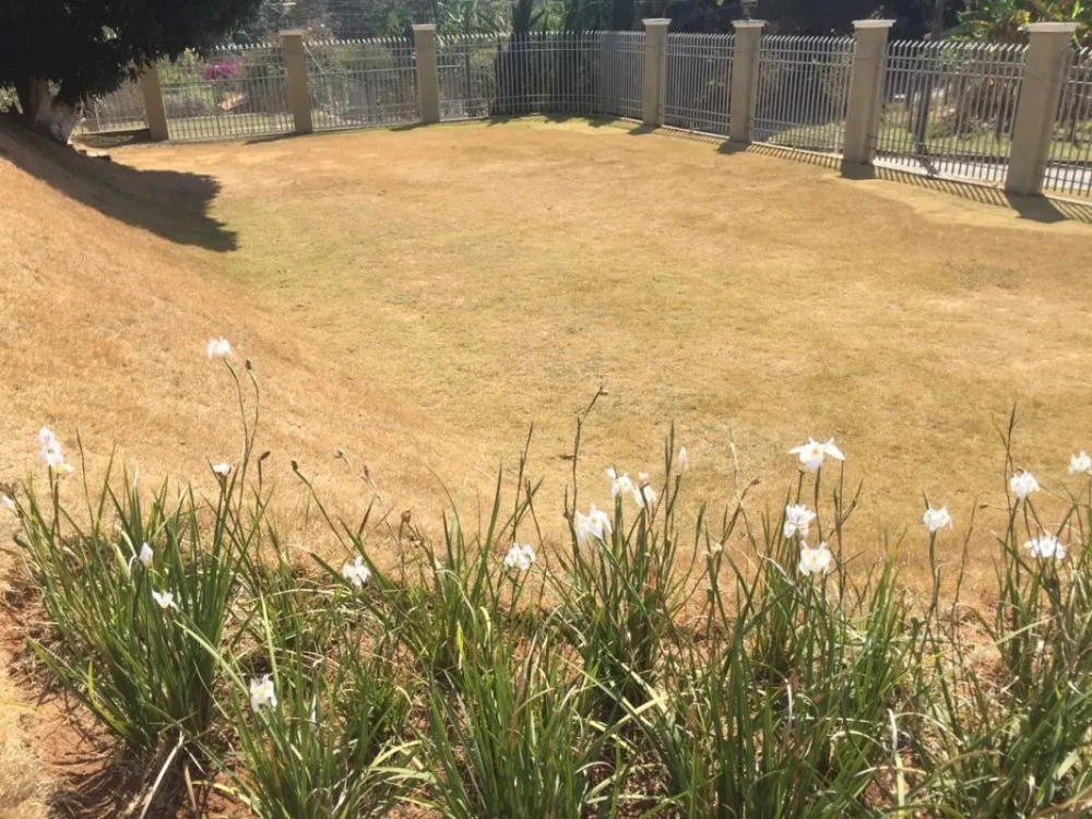 Casa, 4 quartos, 600 m² - Foto 4