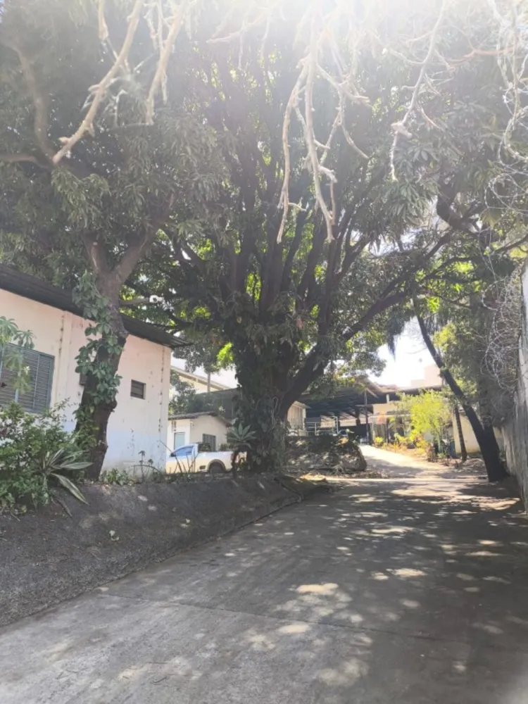 Depósito-Galpão, 2050 m² - Foto 9