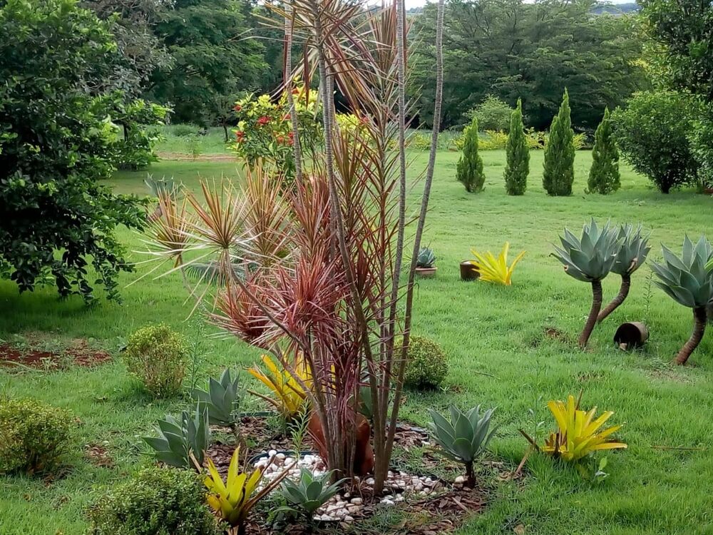 Sítio à venda com 5 quartos, 180m² - Foto 2