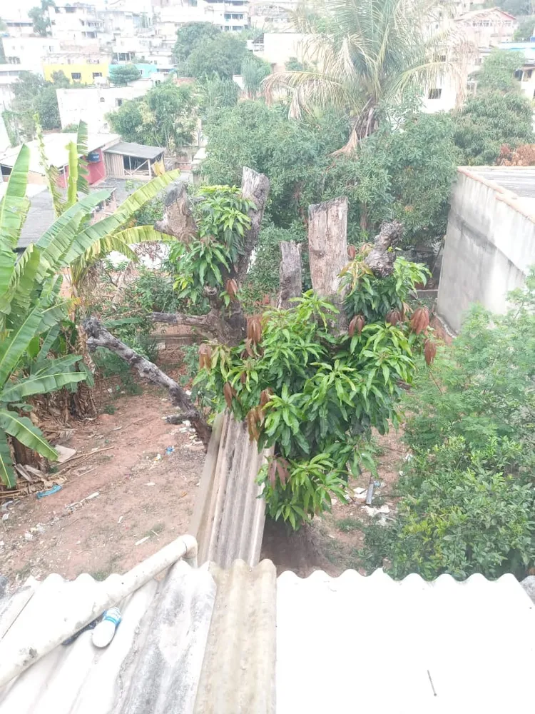 Terreno, 360 m² - Foto 5