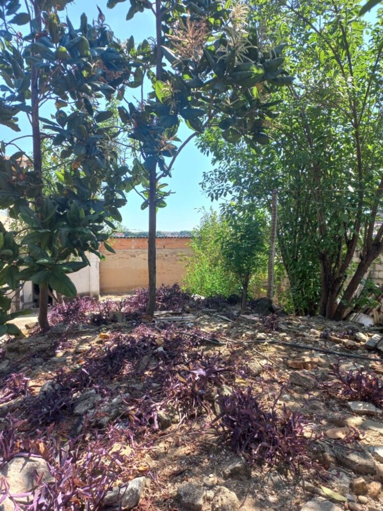 Terreno à venda, 360m² - Foto 8