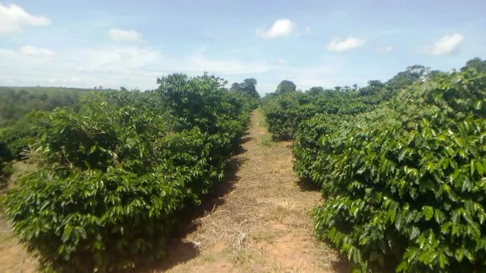 Fazenda, 2 hectares - Foto 1