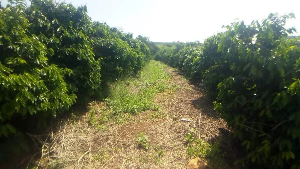 Fazenda, 2 hectares - Foto 2