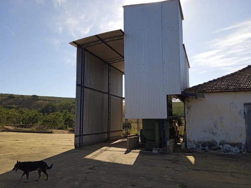 Fazenda, 2 hectares - Foto 12