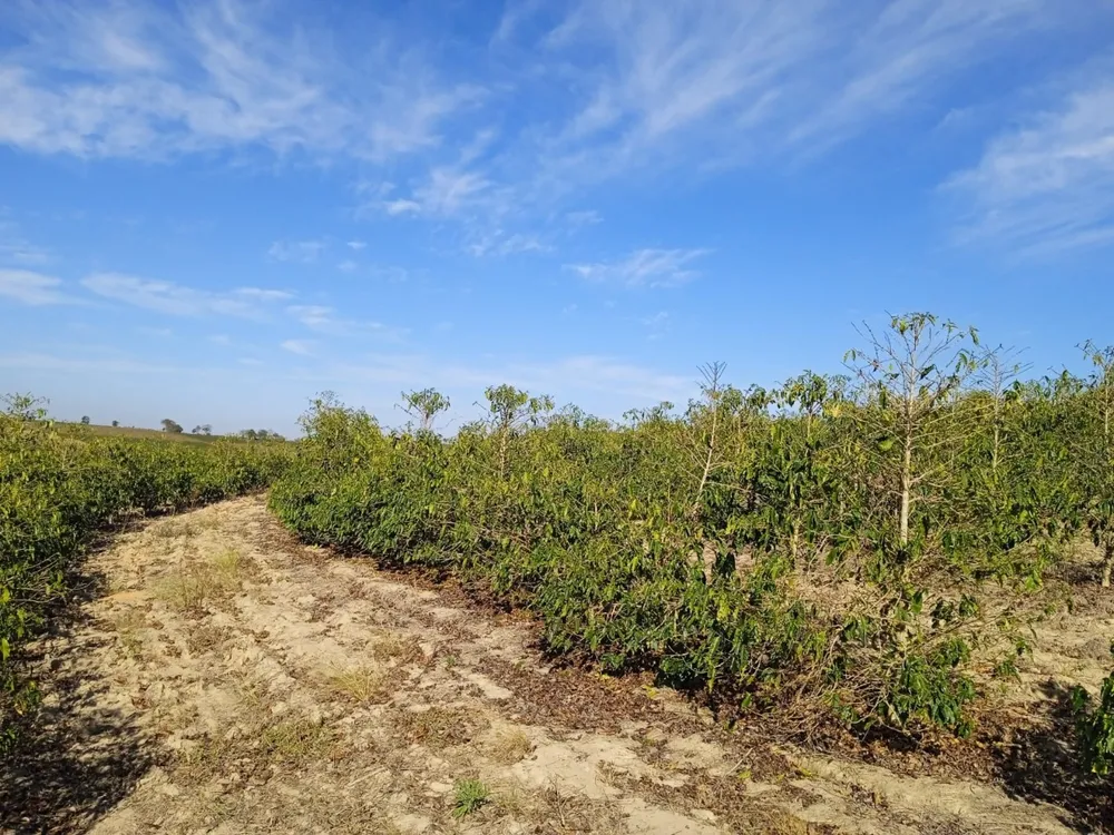 Fazenda, 2 hectares - Foto 11