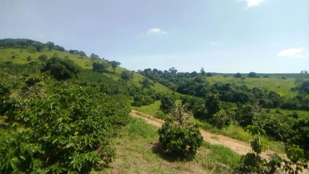 Fazenda, 2 hectares - Foto 7