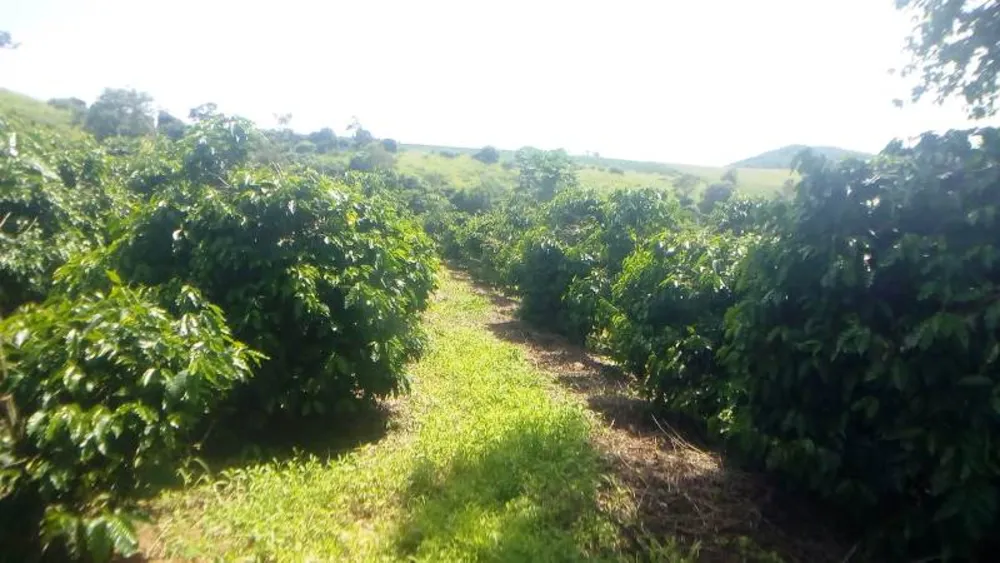 Fazenda, 2 hectares - Foto 4